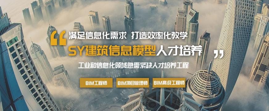 有哪些BIM培训机构可供选择 - BIM,Reivt中文网