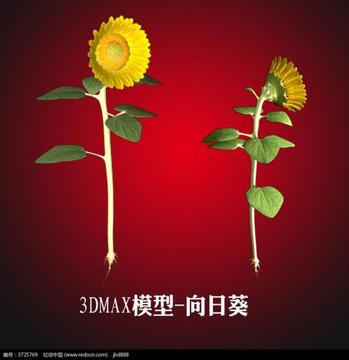 如何在向日葵远程使用3DMax旋转视角？