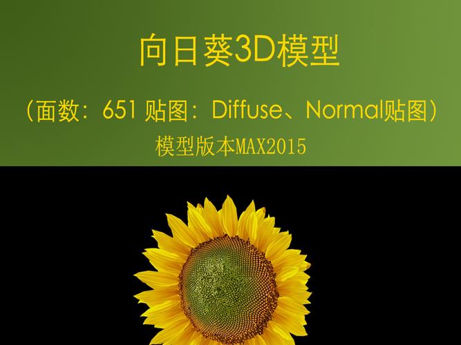 教程：如何在向日葵远程3DMax中旋转视角