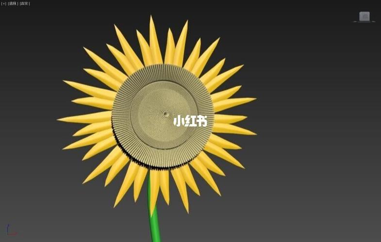 教程：如何在向日葵远程3DMax中旋转视角