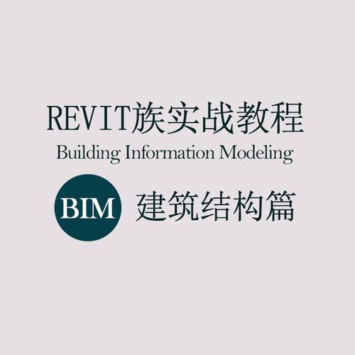 Revit教程：快速入门和高级技巧，提升建筑设计效率 - BIM,Reivt中文网