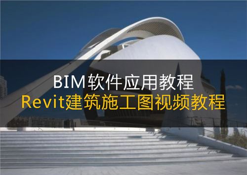 Revit软件教程：精确施工图设计与模拟实践 - BIM,Reivt中文网