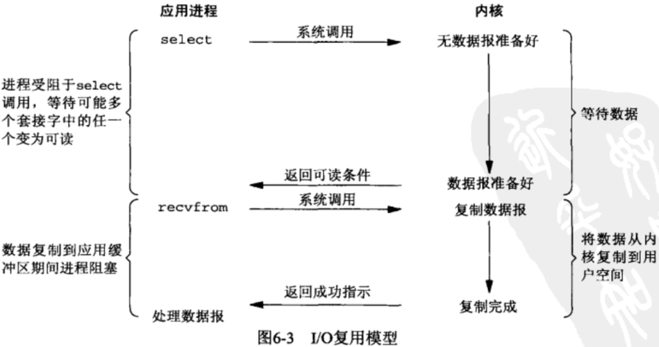 同步模型链接的Fuzor功能 - BIM,Reivt中文网