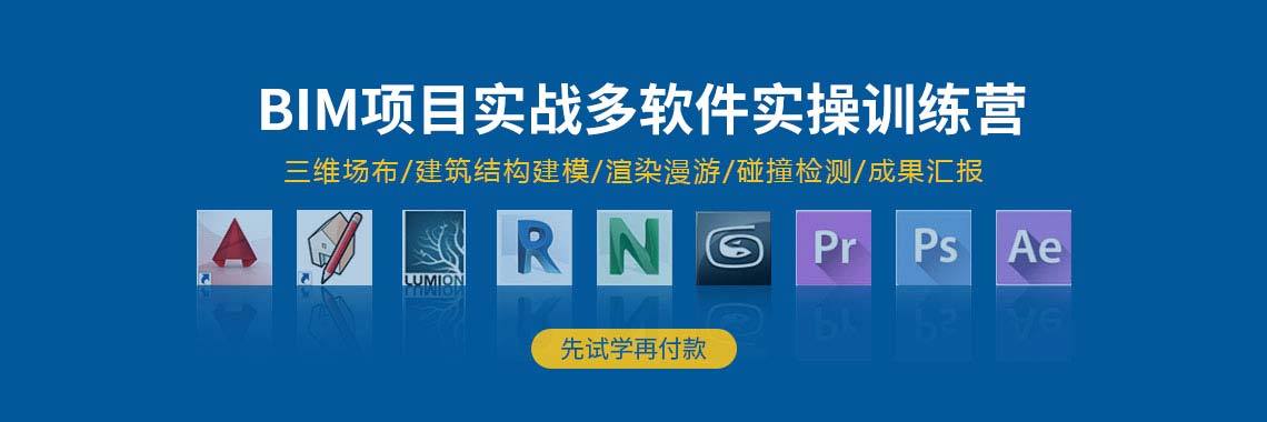 实战技能培训：掌握BIM应用的实操技巧 - BIM,Reivt中文网