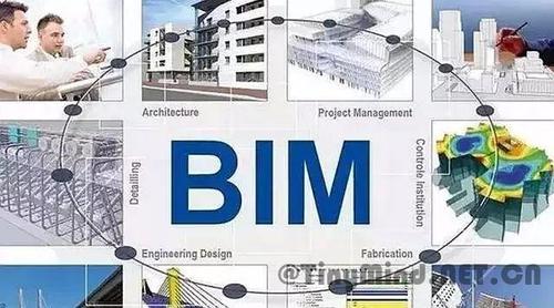 BIM领域中哪个专业更具竞争力？ - BIM,Reivt中文网