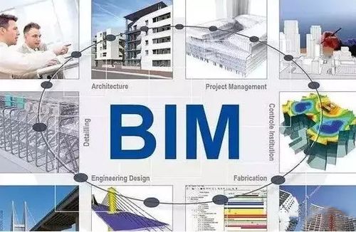 BIM就业领域的选择有哪些？ - BIM,Reivt中文网