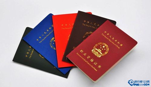 中国十佳含金量证书 - BIM,Reivt中文网