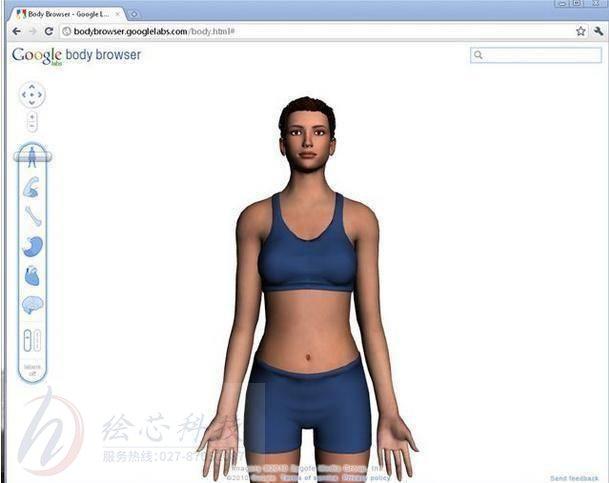 学生体验3D身体建模 - BIM,Reivt中文网