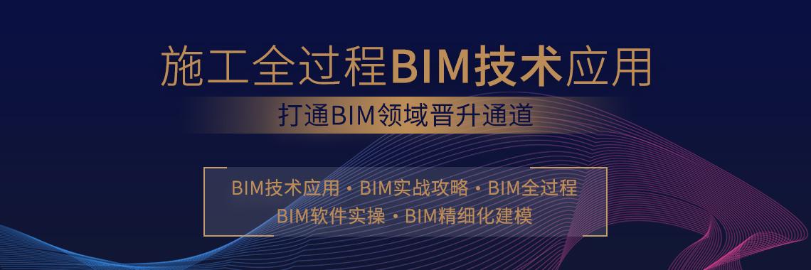 如何选择适合你的BIM建模师二级专业 - BIM,Reivt中文网