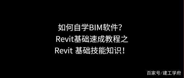 Revit软件教程：快速入门，操作技巧分享，成为专业设计师的必备利器 - BIM,Reivt中文网