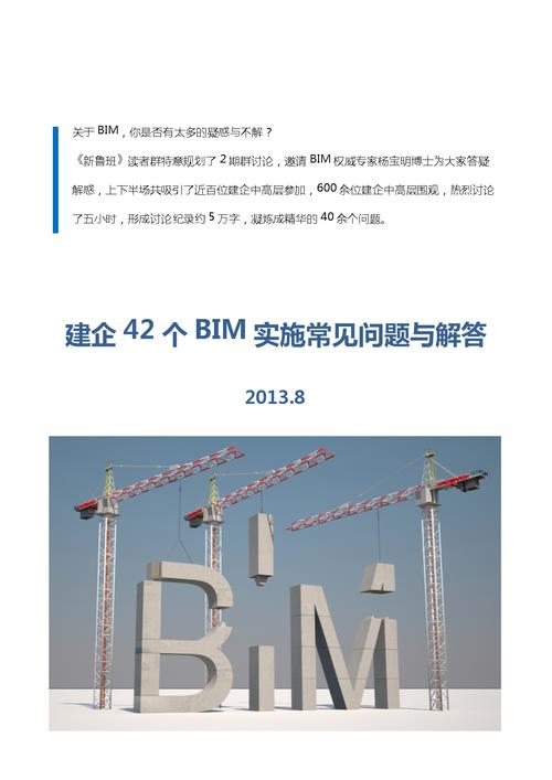 问题的出现与BIM相关 - BIM,Reivt中文网