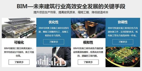 哪种说法关于BIM技术的应用特征是错误的?