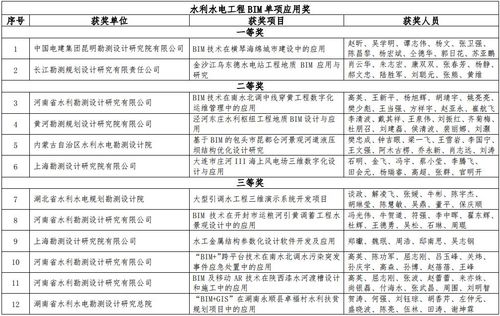 中国水利水电勘测设计BIM应用竞赛 - BIM,Reivt中文网