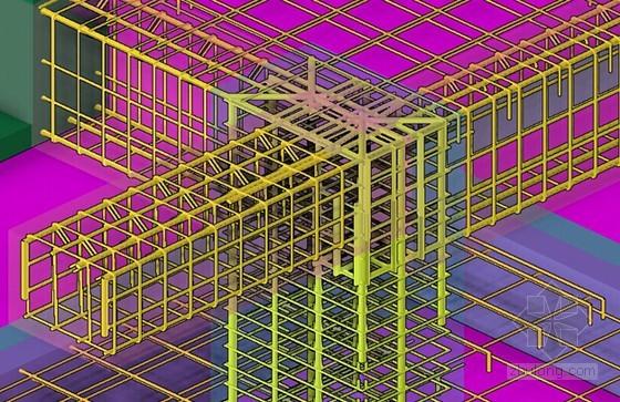 BIM技术应用于钢筋加密区 - BIM,Reivt中文网