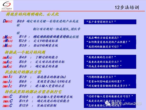 提升绩效的DMAIC培训 - BIM,Reivt中文网