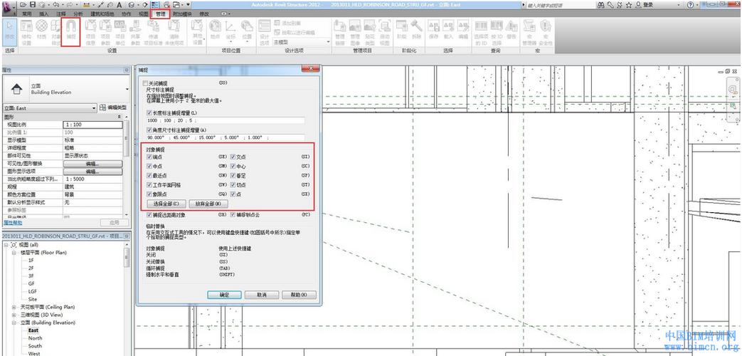 如何启用BIM捕捉功能 - BIM,Reivt中文网