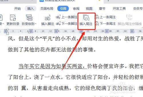 在Word中如何添加文档尾注，以及如何在最底部添加注释 - BIM,Reivt中文网