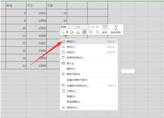 如何处理Excel中过多行数而无法复制的问题 - BIM,Reivt中文网