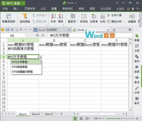金山文档能否支持VBA？复制Excel数据有效性后是否会消失？ - BIM,Reivt中文网