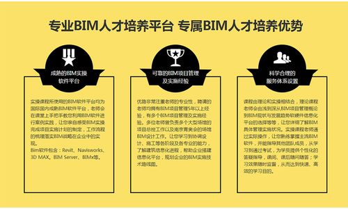BIM工程师职位主要分为哪几个类别？ - BIM,Reivt中文网