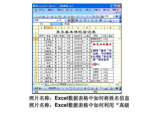 电子表格文件与Excel文档的定义 - BIM,Reivt中文网
