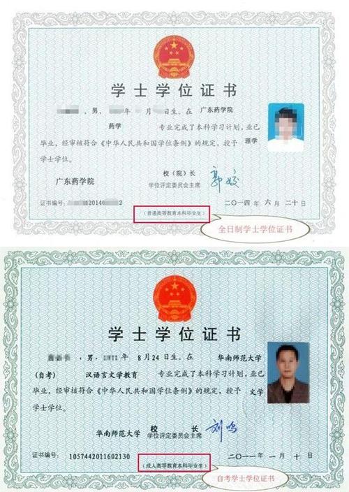 揭秘成人自考大专文凭的价值和意义：你真的需要它吗？ - BIM,Reivt中文网