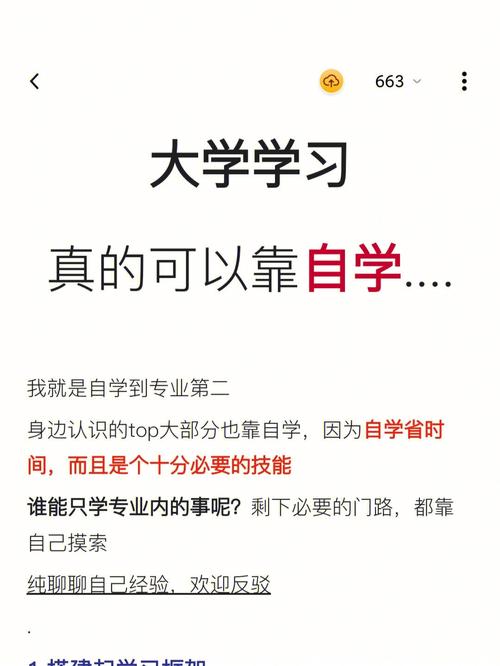 自学考试对本科生学习的影响：一探究竟 - BIM,Reivt中文网