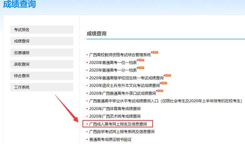 广西2023年成人高考成绩查询流程-简单指南 - BIM,Reivt中文网