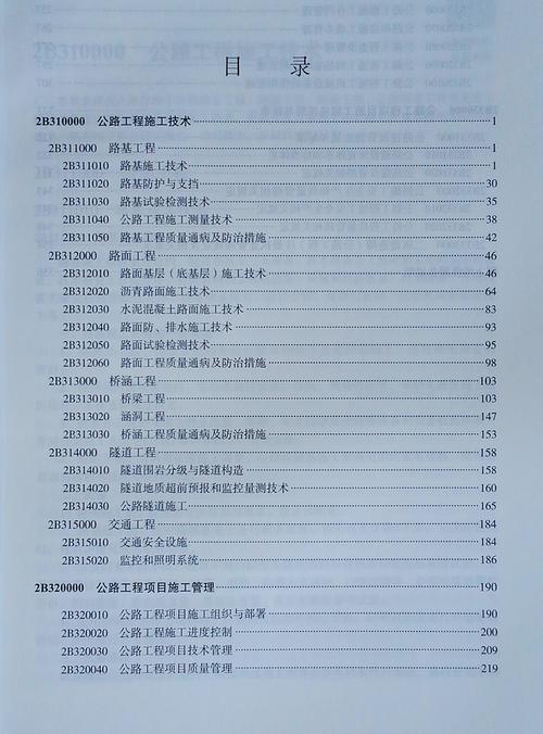 二建市政实务：难以驾驭的挑战？ - BIM,Reivt中文网
