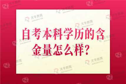 揭秘成人自考本科学历的实际价值：是否具备高含金量？ - BIM,Reivt中文网