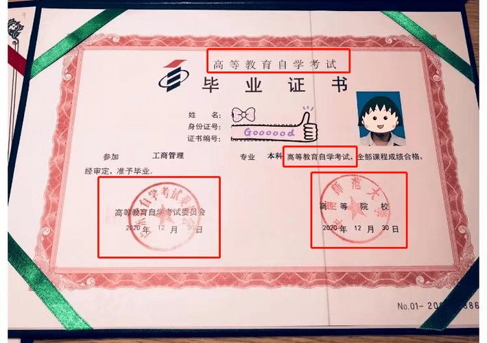 自学考试毕业文凭的实用性与就业前景究竟如何？ - BIM,Reivt中文网