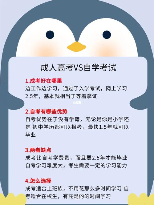 成人自学考试和成人高考：对比分析帮助您做出明智选择！ - BIM,Reivt中文网