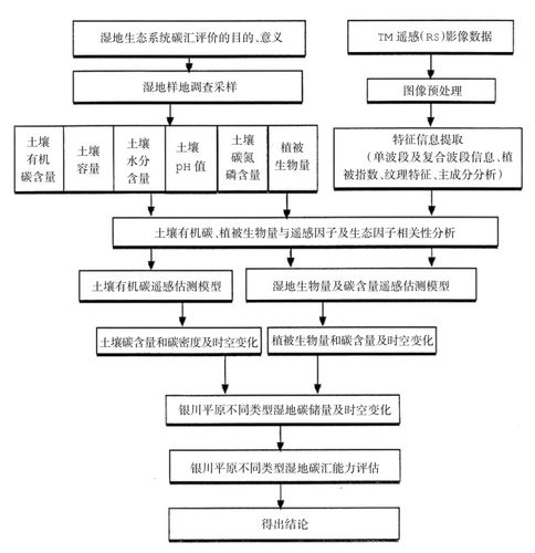 将要实施的技术路线