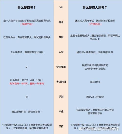 自考与成人高考：哪个更好？ - BIM,Reivt中文网