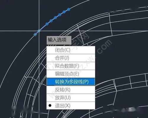 自由转换：CAD2023如何优雅切换多段线的圆弧和直线 - BIM,Reivt中文网