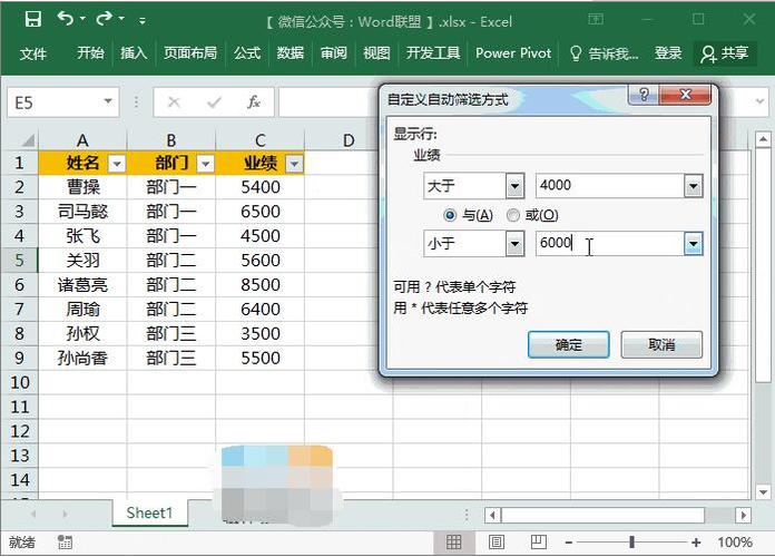如何在Excel中选择语言和使用筛选功能 - BIM,Reivt中文网