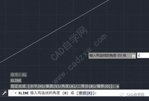 如何在CAD中输入构造线的角度 如何在CAD中输入构造线的角度 - BIM,Reivt中文网