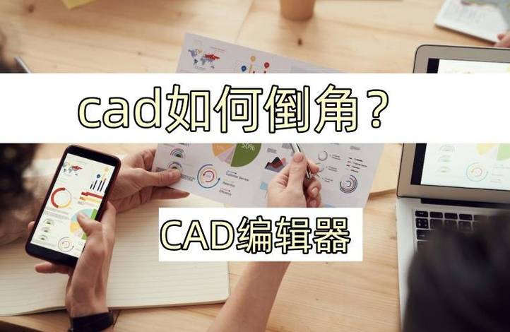 如何使用CAD进行角度参照的优化技巧 如何使用CAD进行角度参照的优化技巧 - BIM,Reivt中文网