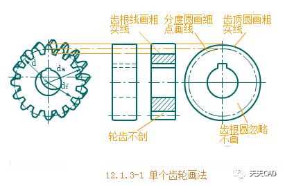 详解CAD齿轮绘制的步骤 - BIM,Reivt中文网