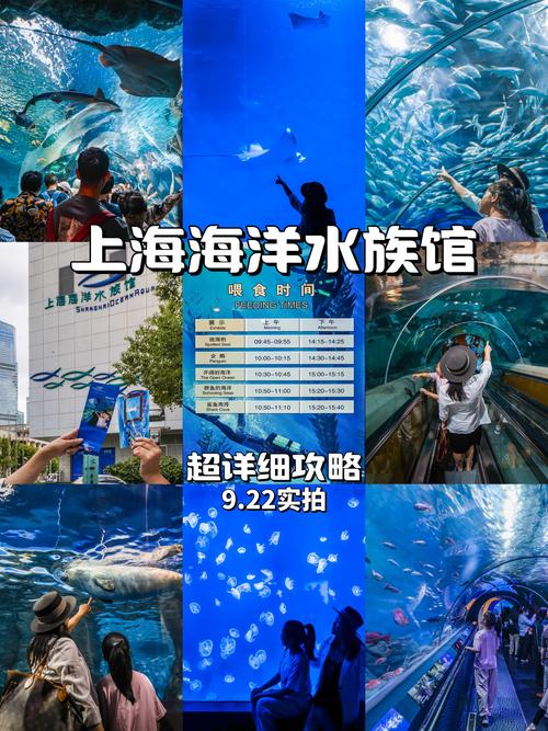 2021上海国际潜水暨度假观光展：时间地点及上海展览搭建公司解答 - BIM,Reivt中文网