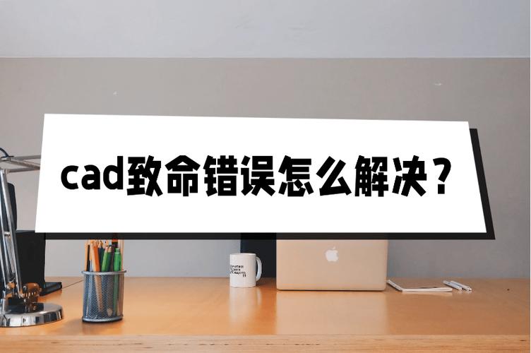 解决win11安装低版本CAD报致命错误的方法 解决win11安装低版本CAD报致命错误的方法 - BIM,Reivt中文网