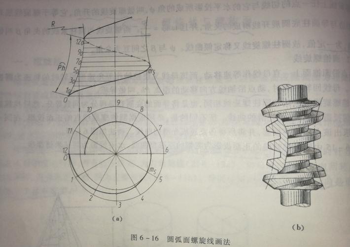 学会使用AutoCAD绘制螺旋线的方法 - BIM,Reivt中文网