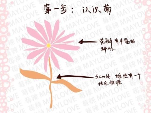 用CAD绘制美丽的菊花：实用技巧分享 - BIM,Reivt中文网