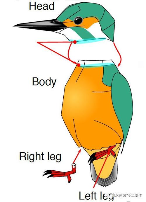 立体小鸟的CAD制作方法优化 立体小鸟的CAD制作方法优化 - BIM,Reivt中文网