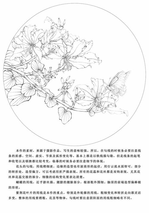 如何绘制CAD紫荆花 - BIM,Reivt中文网