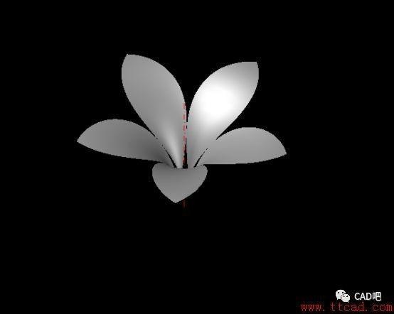 CAD建模花朵的技巧 - BIM,Reivt中文网