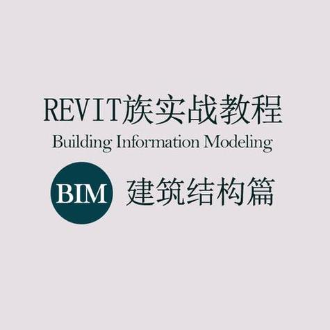 Revit软件教程：从入门到精通，全面提升建筑设计效率 - BIM,Reivt中文网