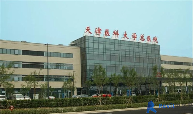 12190701.webp.jpg
