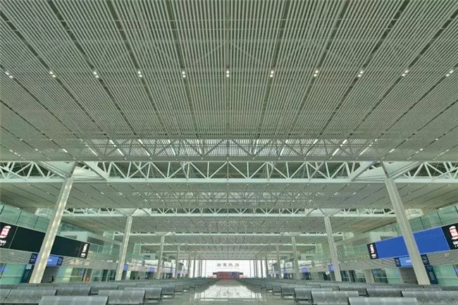 01131203.webp.jpg