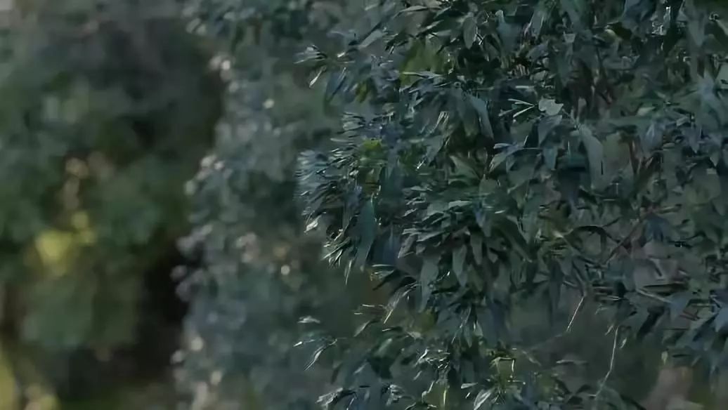 腿腿教学网-还在用Lumion9？Lumion 10来啦！